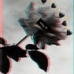 Following profile image