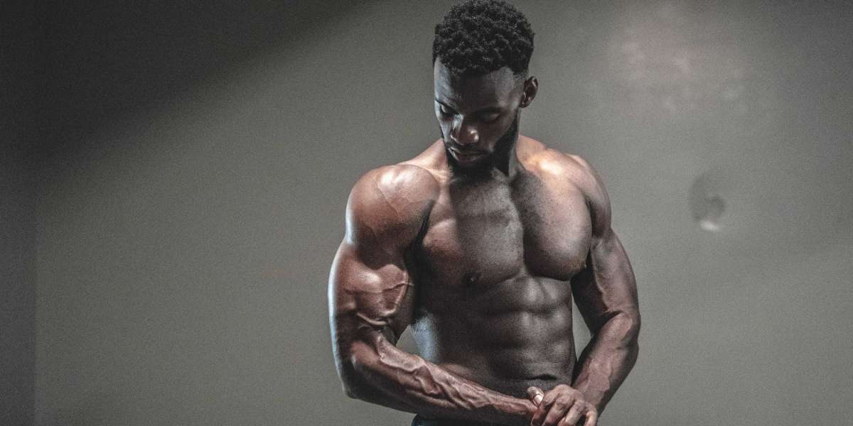Understanding Anabolic Androgenic Steroids: Effects, Profiles, and FitLynk Services