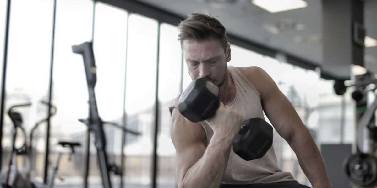 Effective Arm Exercises for Beginners: Build Muscle with FitLynk