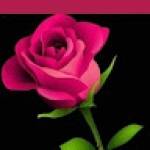 Following profile image