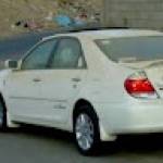 نبض Profile Picture