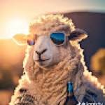 Rawaz Namo Profile Picture