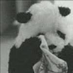 Following profile image