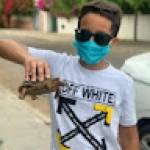 Anas Mabchour Profile Picture