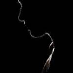 عبدالرحمن عامر عمر Profile Picture