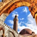 محمود النحراوى