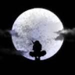 Amro alaa Profile Picture