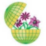 Following profile image