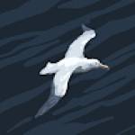 Following profile image