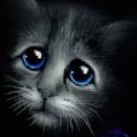 Following profile image
