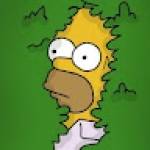 Omar Abdelrhman Profile Picture