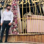 Alimajed Profile Picture