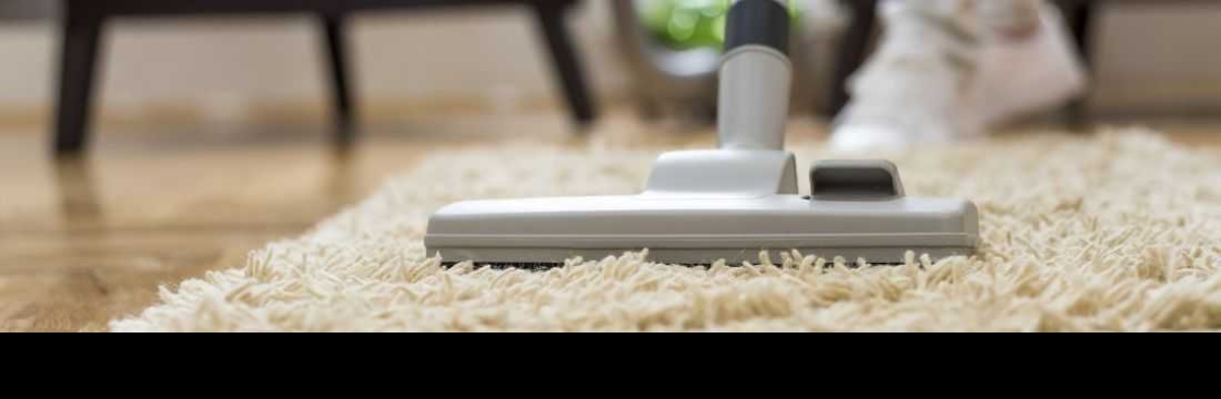 ElegantRug Cleaning cover