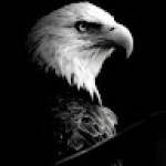 Following profile image