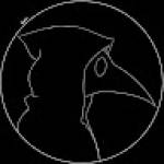 Abd ou Profile Picture