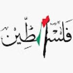 Abdelrahman Mohsen Profile Picture