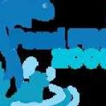 Massive Dynamics USA Profile Picture