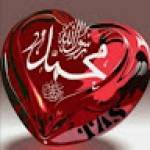 محمد احمد جاد Profile Picture