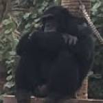 Following profile image