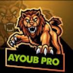 ايوب قيمر ayoub games