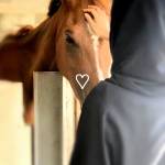 Following profile image