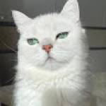 Following profile image