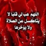 احمد علاء بهنسي Profile Picture