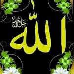 Muhi Djaout Profile Picture