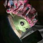Following profile image