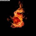 عمار راس الغراب Profile Picture