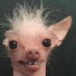 Following profile image