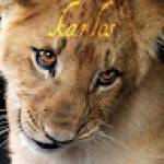 Following profile image