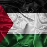 Mohamed Ahmed Profile Picture