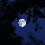 Following profile image