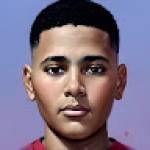 Mohamed Mansour