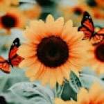اسماء مثنى فيصل Profile Picture