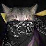 ghaith Profile Picture