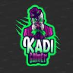 kadi gamer Profile Picture