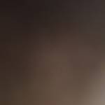 Seren Safi Profile Picture