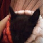 Following profile image