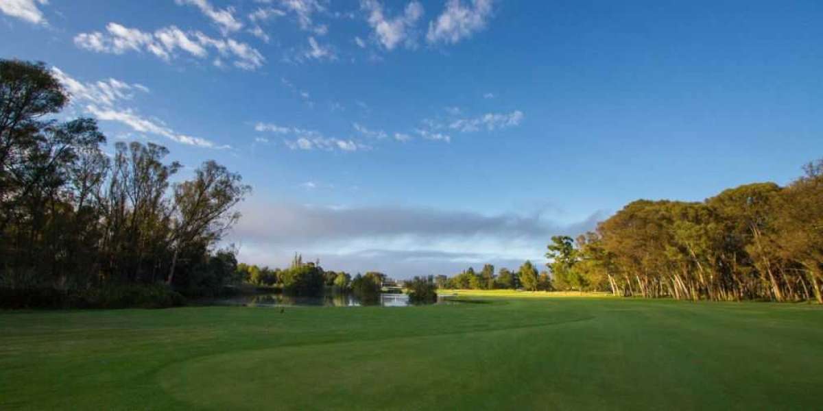 How to Improve Your Golf Game?
