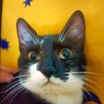 Following profile image