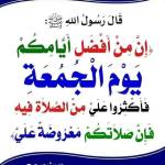 Amine ahmad Profile Picture