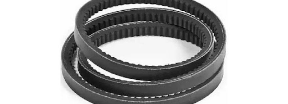 Ajanta Belts Cover Image