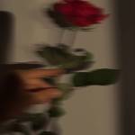 Following profile image