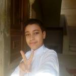 Youssef Hamed Profile Picture