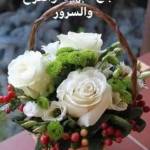 مروة بهار