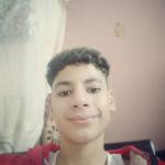 Omar Tamer Profile Picture