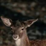 Following profile image