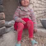 Nazir Ahmed Profile Picture